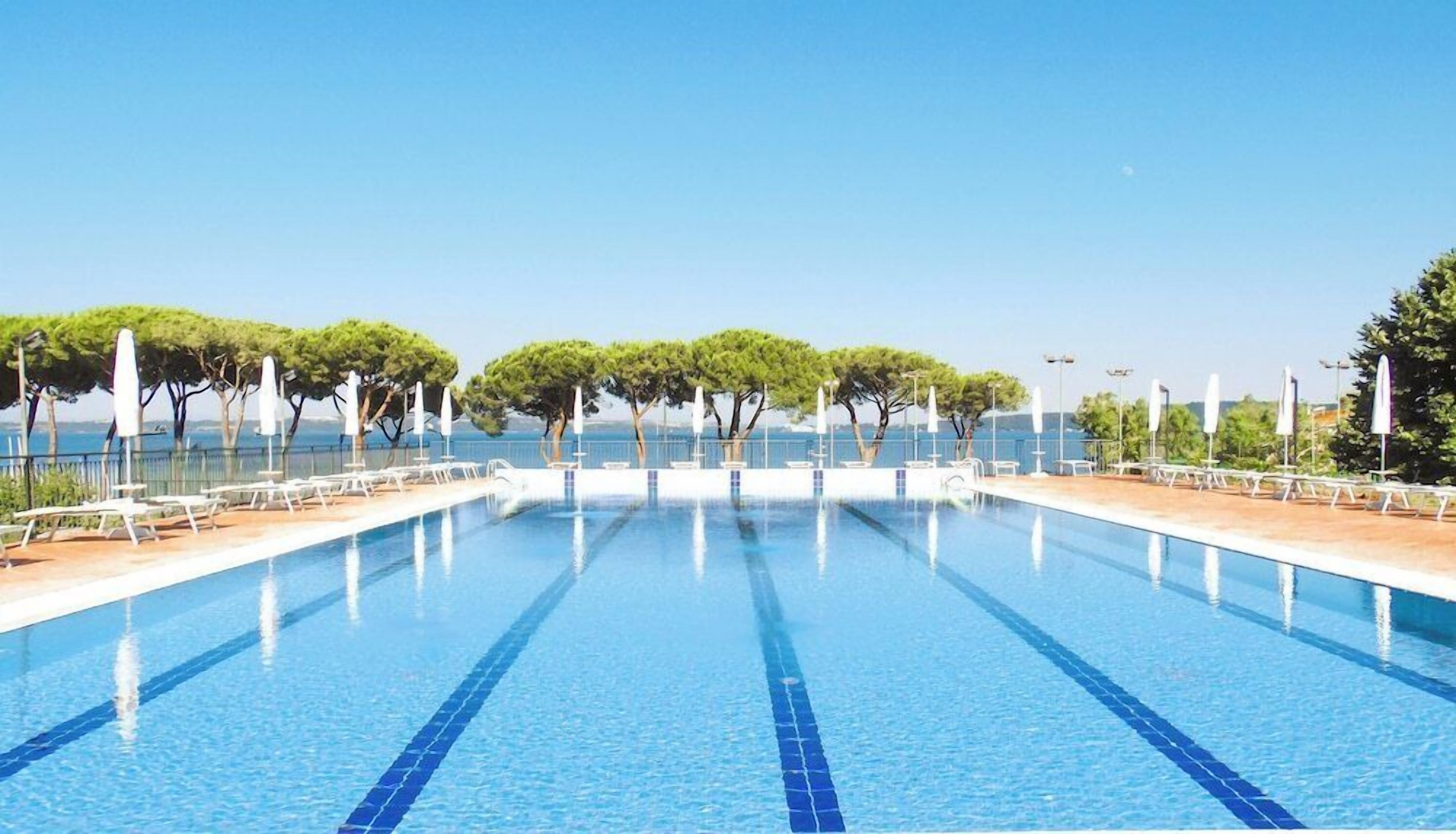 Piscina rectangular con azulejos azules y separadores blancos, rodeada de sillones de descanso y sombrillas, con árboles y un cielo despejado al fondo.