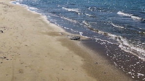 A beach with clear blue water, sandy shore, and distant mountains. - Studios Taki's Place (Naxos)