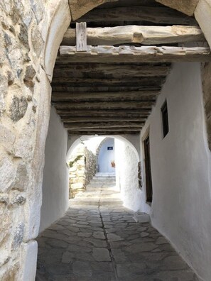 Property grounds - Studios Taki's Place (Naxos)