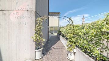A narrow pathway flanked by potted plants leading to a building entrance.