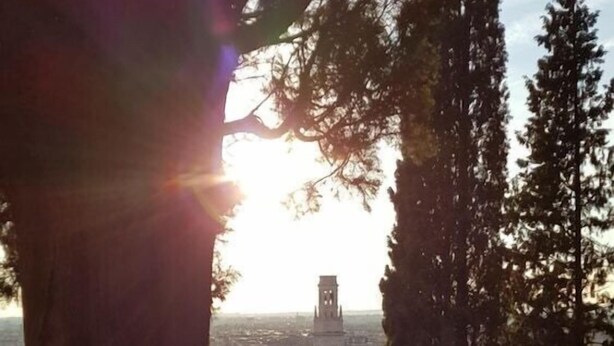 A view of a cityscape with a prominent tower, viewed through a railing with trees in the foreground. - STH Verona (Verona)