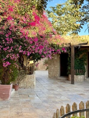 Property grounds - Hyatt Zaman Village (At-Taybeh)