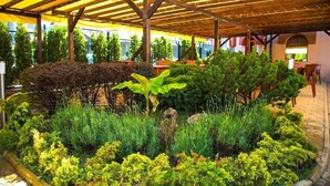 An outdoor covered area with wooden beams and a yellow canopy, surrounded by various types of greenery and plants. - Sunrise Complex Hotel (Nessebar)