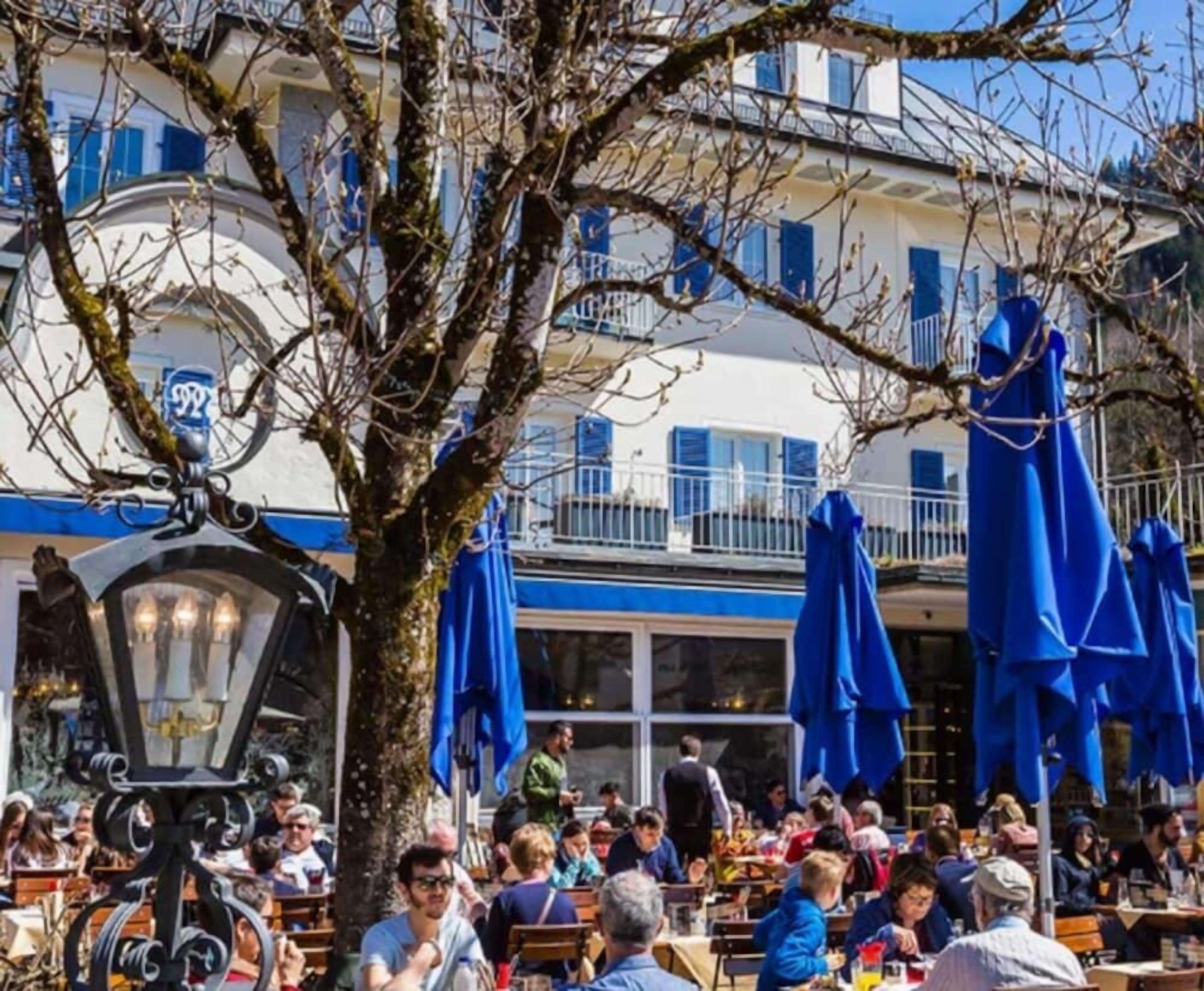Een terras met tafels en gasten, een grote boom op de voorgrond en een gebouw met blauwe luiken op de achtergrond.