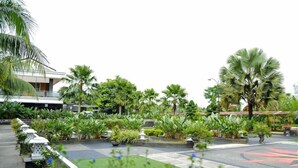 A landscaped courtyard with palm trees, potted plants, and a paved area. - Pancur Gading Hotel And Resort (Petumbak)