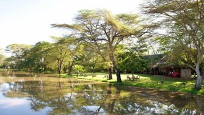 Property grounds - Voyager Ziwani Tented Camp (Kenya)
