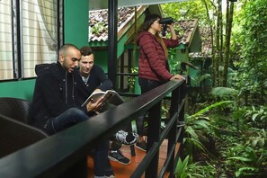 Property grounds - Tapirus Lodge (Guapiles)