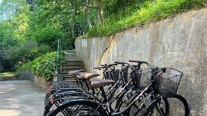 Een rij fietsen geparkeerd tegen een stenen muur in een beschaduwd gebied, met groen op de achtergrond.