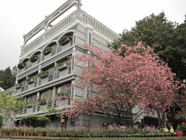 Un edificio de varios pisos con balcones, un gran árbol floreciente y un muro de piedra.
