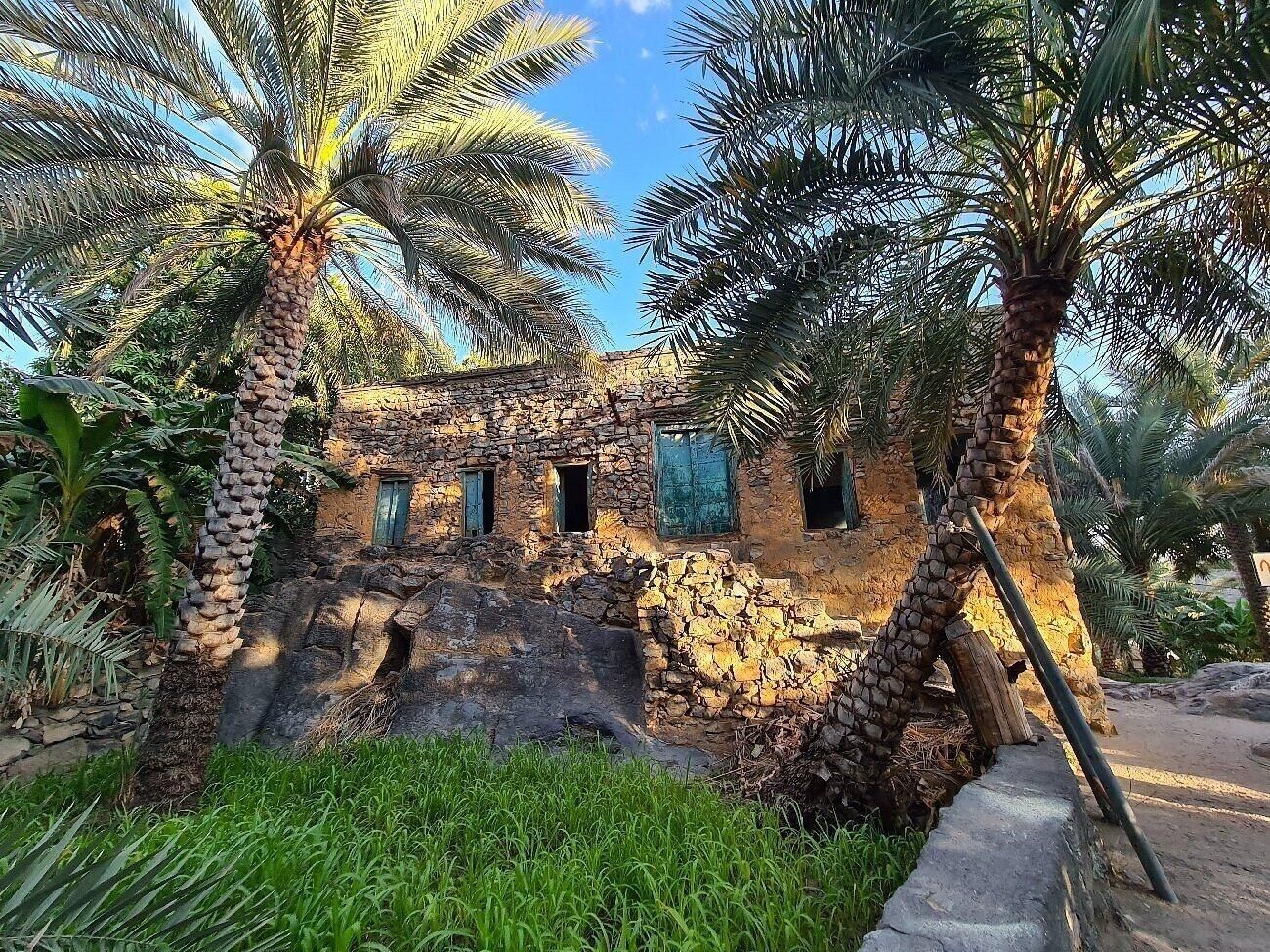 A stone building with multiple windows, surrounded by palm trees and greenery.