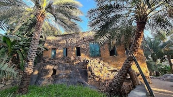 A stone building with multiple windows, surrounded by palm trees and greenery.