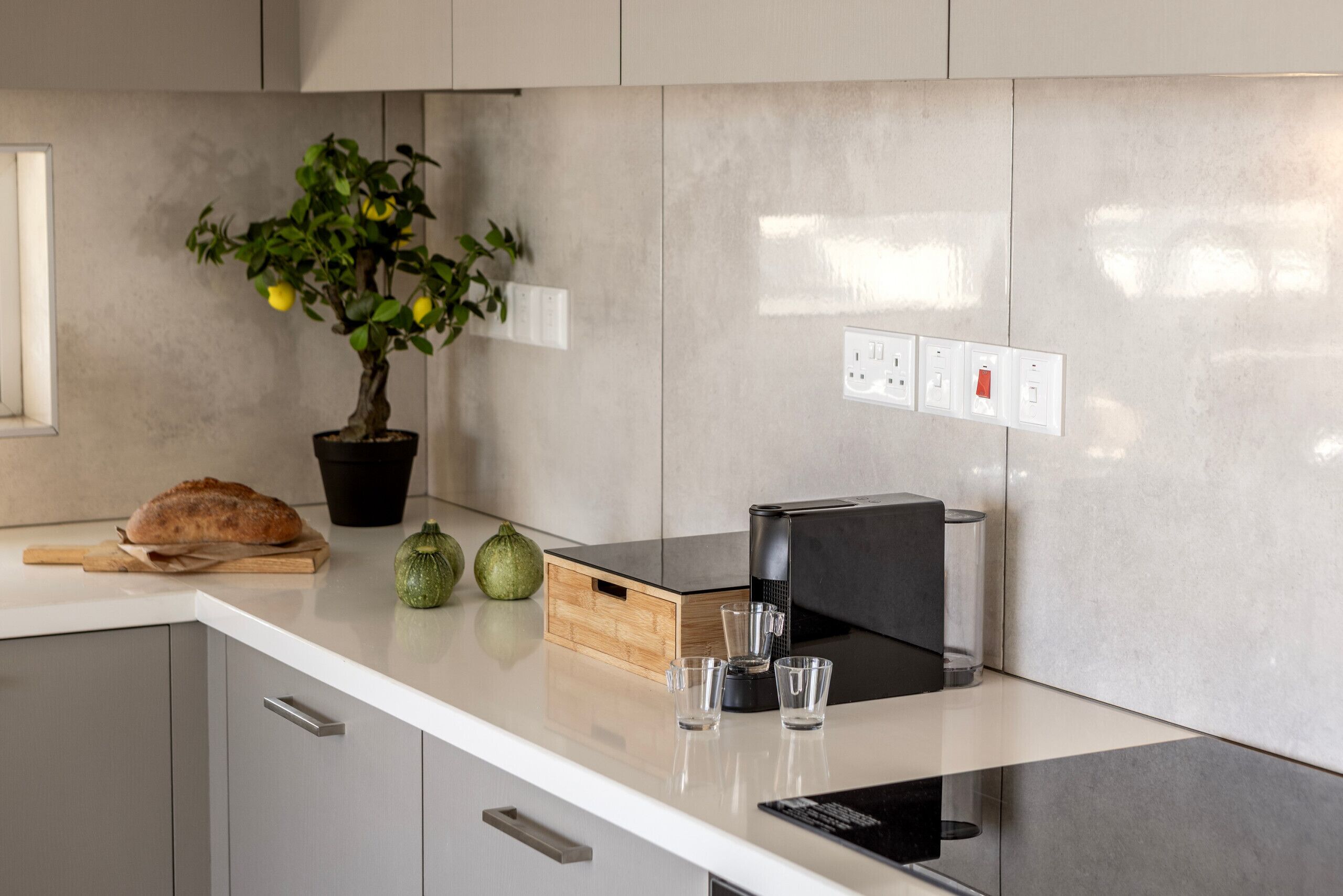 A modern kitchen with a countertop, a potted plant, a bread loaf, and a coffee maker.