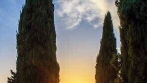 Une scène de coucher de soleil mettant en scène un pique-nique avec des couvertures, des coussins et une table garnie de nourriture et de boissons.
