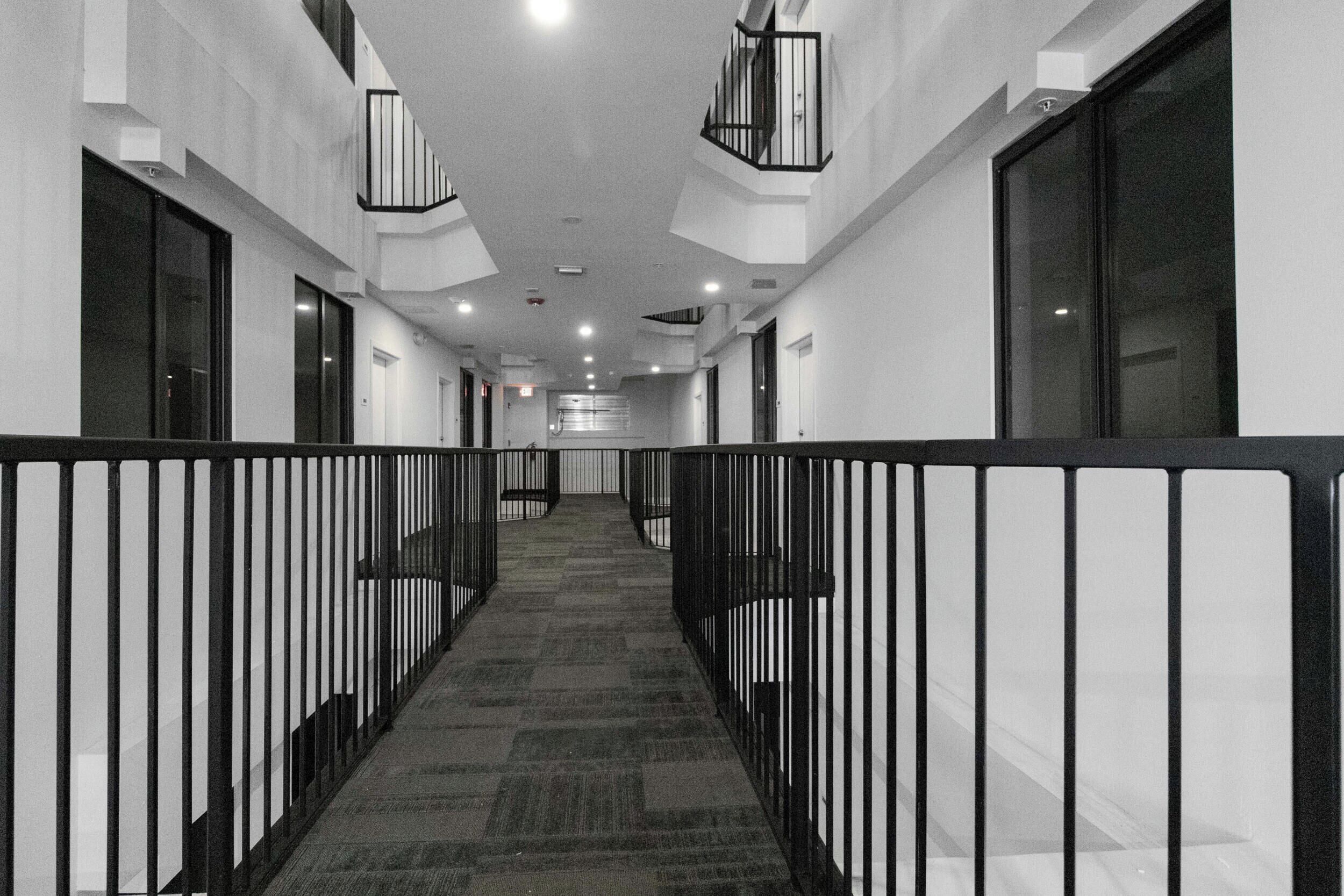 A corridor with a patterned carpet, black railings, and a series of windows and doors.
