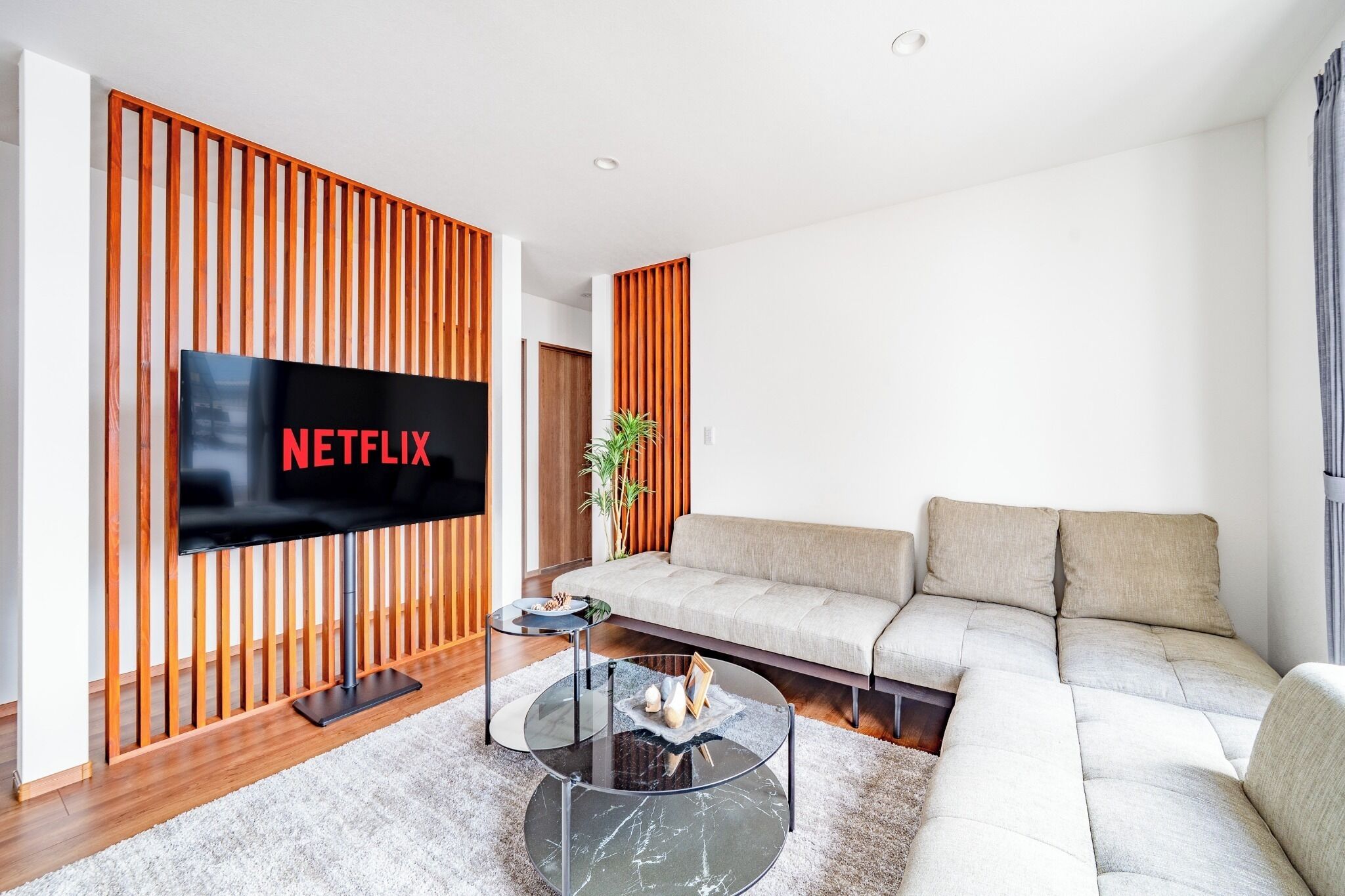 Fernseher