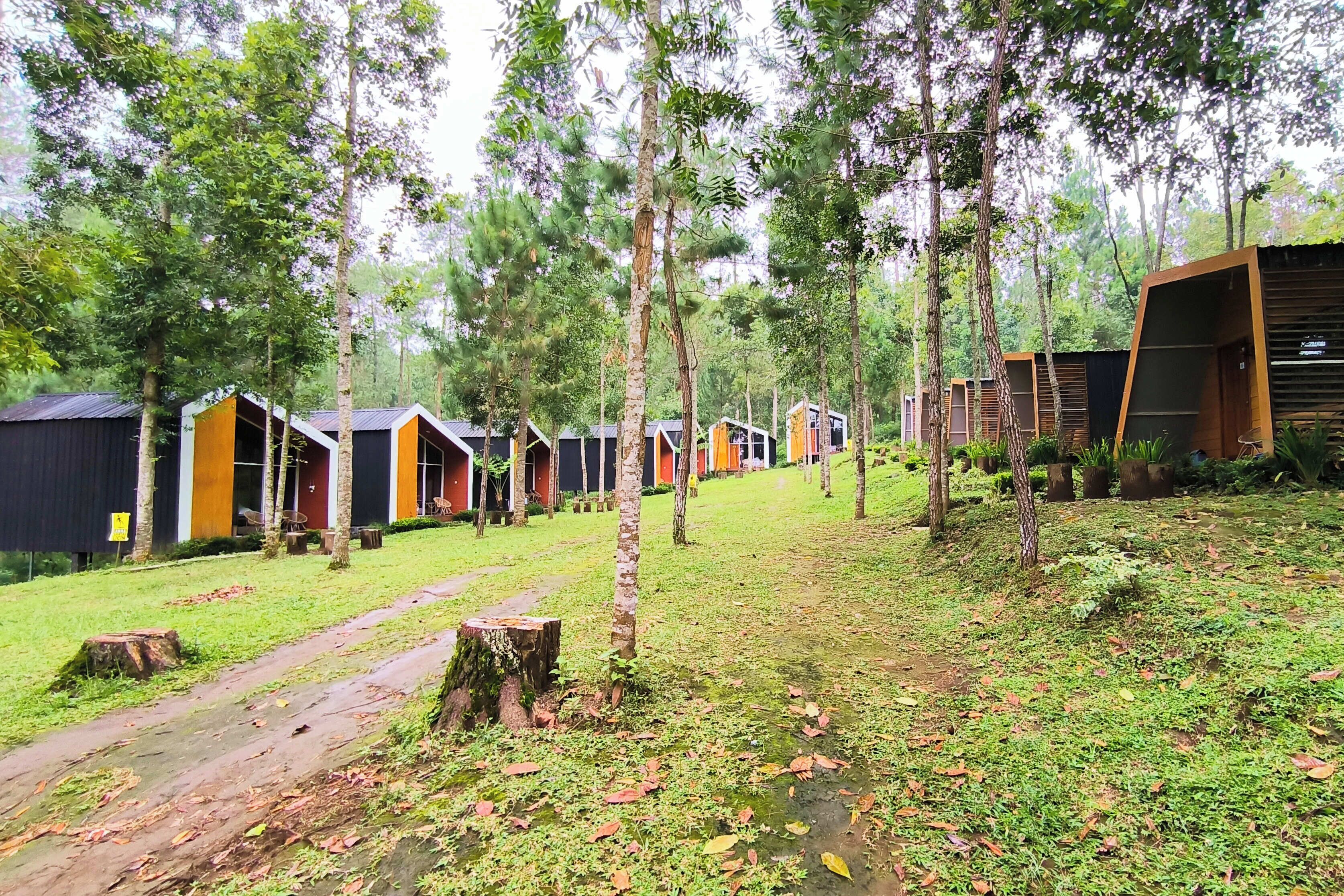 A row of cabins with a natural forest backdrop, each with a distinct color scheme and surrounded by trees.