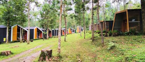 A row of cabins with a natural forest backdrop, each with a distinct roof style and surrounded by trees.