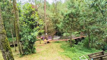 Un área boscosa con un puente de madera y una pequeña construcción de madera.
