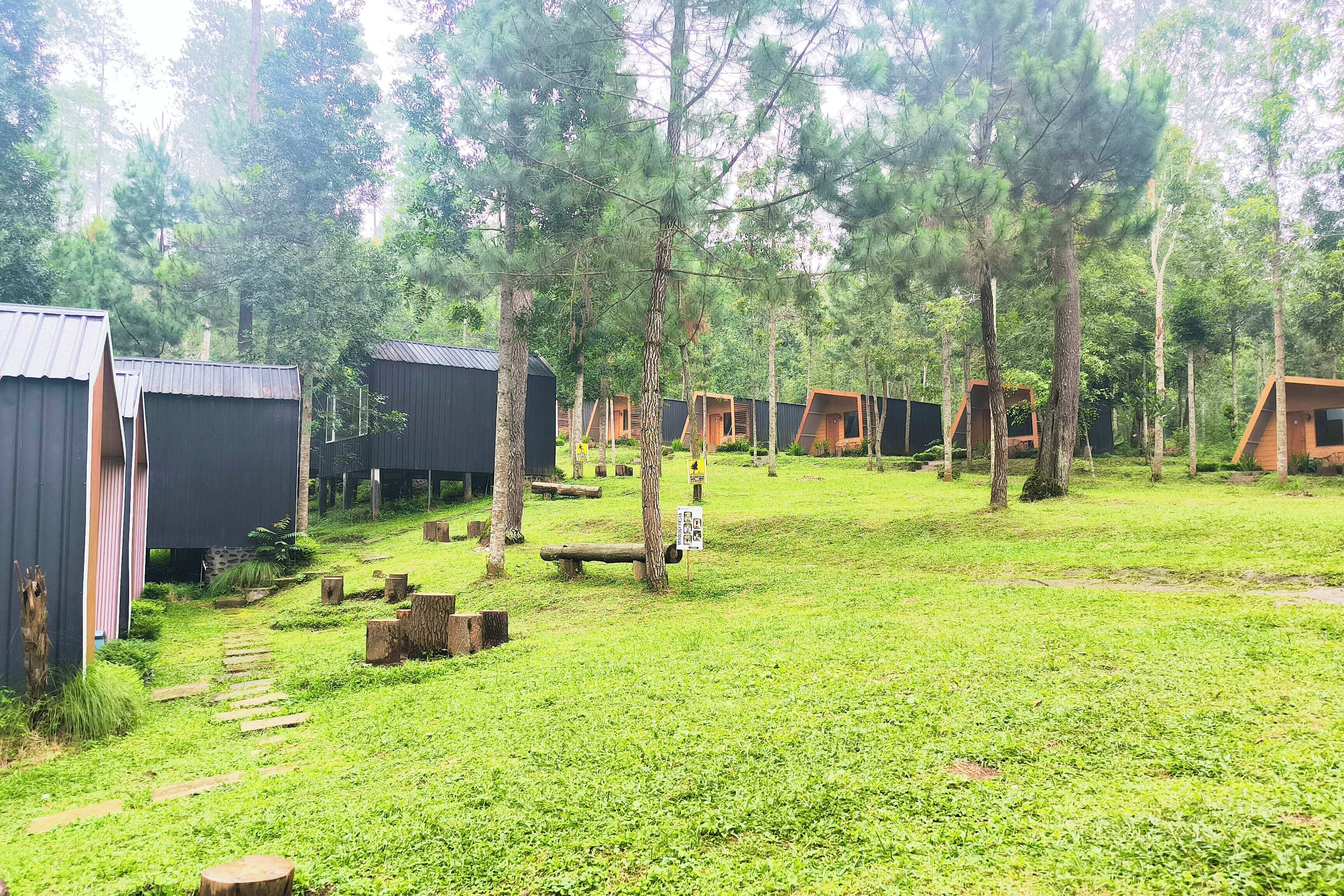 Un terrain de camping doté de plusieurs chalets en bois, entouré d’arbres et de zones herbeuses.