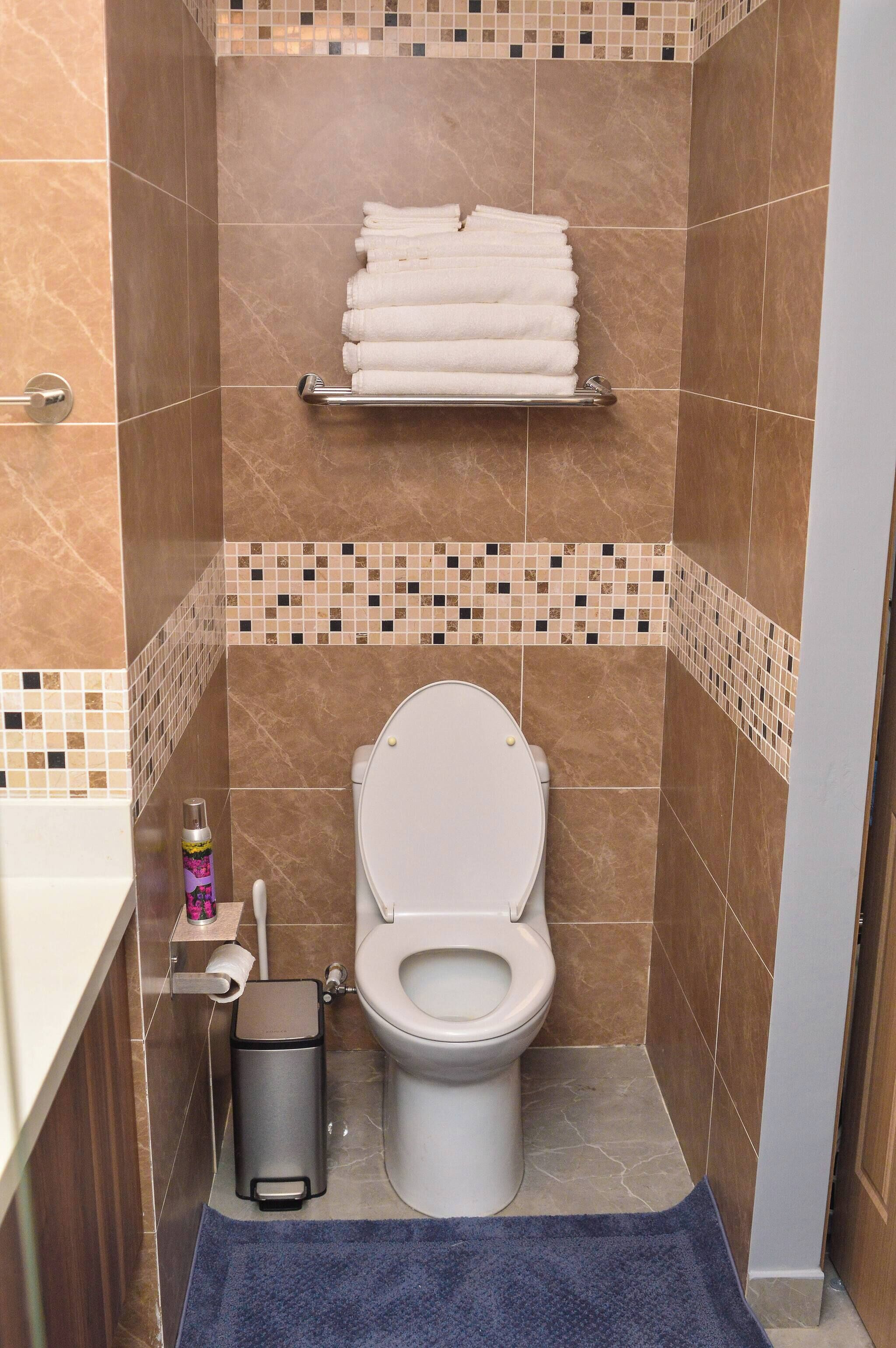Une salle de bain avec des toilettes, une poubelle, un porte-serviettes avec des serviettes pliées et un tapis bleu sur le sol.