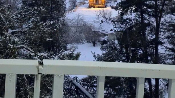 A snow-covered landscape with a wooden cabin illuminated by warm lights, surrounded by dense forest and snow-covered trees.