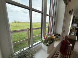 Ein Zimmer mit großen Fenstern, einer hölzernen Bank, einem Feuerlöscher und einer kleinen Pflanze.
