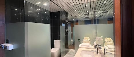 Towels, soap, shampoo, toilet paper