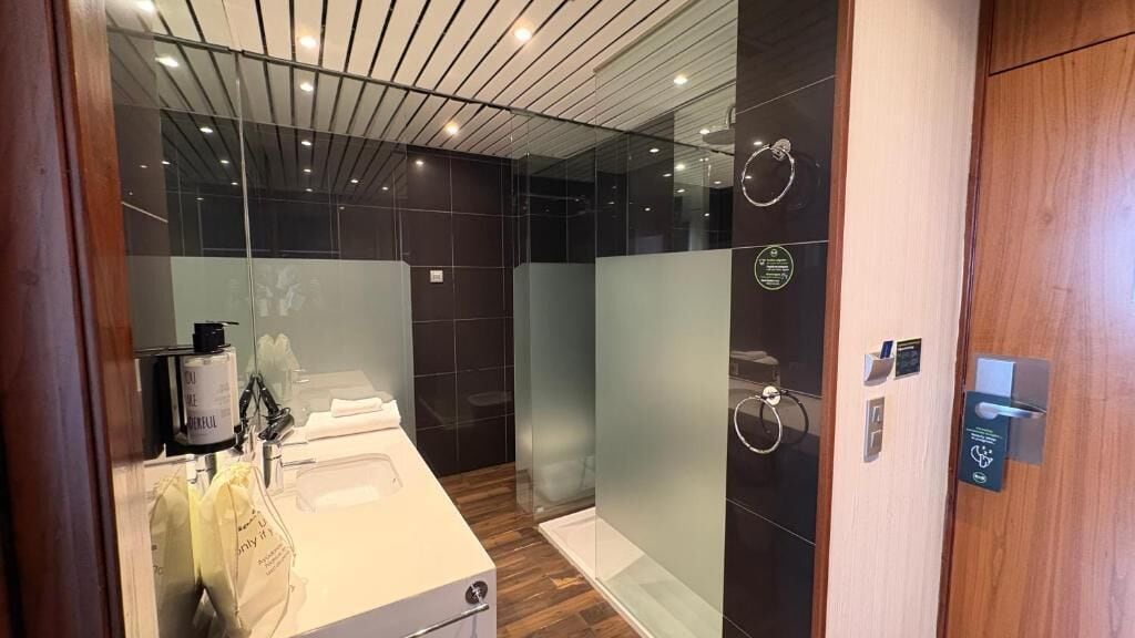 Suite | Badkamer | Handdoeken, zeep, shampoo, toiletpapier