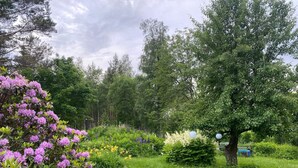 Un jardín exuberante con diversas plantas y árboles en flor.