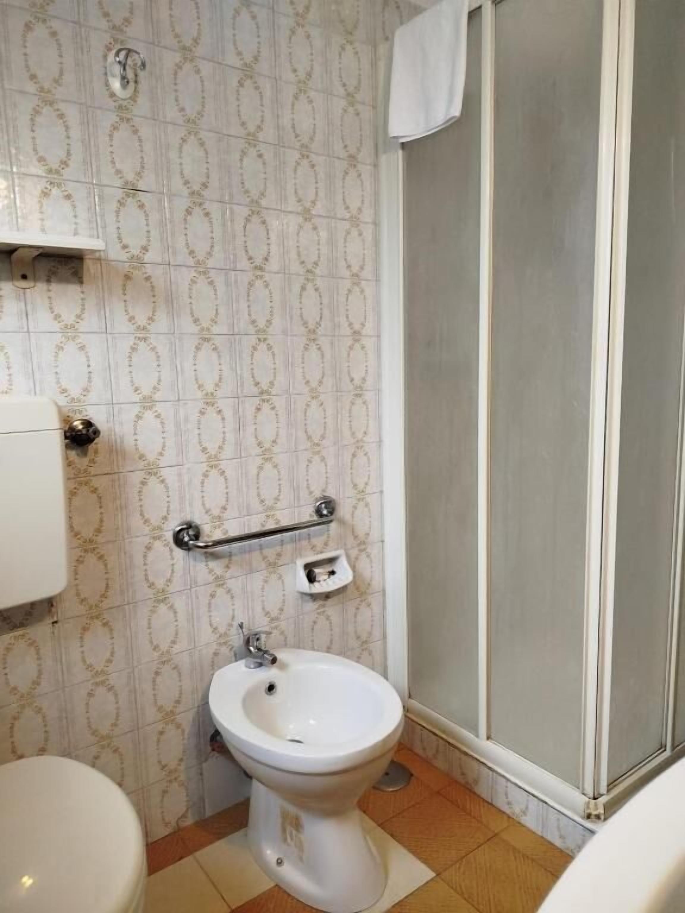 Een badkamer met toilet, hygiëneschuimer en douche.