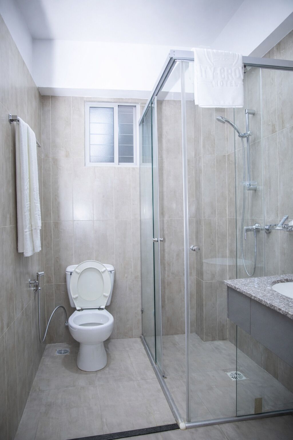 A modern bathroom with a glass-enclosed shower, a toilet, and a sink.