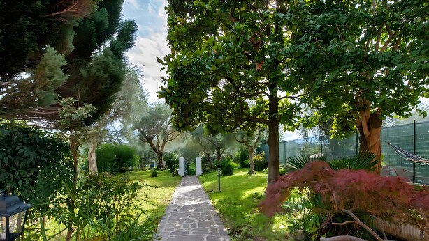 Un camí de pedra que serpenteja per un jardí exuberant ple de plantes i arbres.