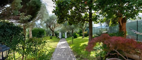 Parco della struttura