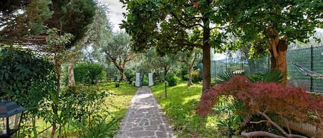 Parco della struttura