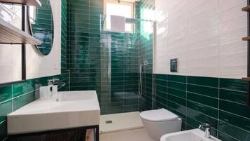 Shower, hair dryer, bidet, towels