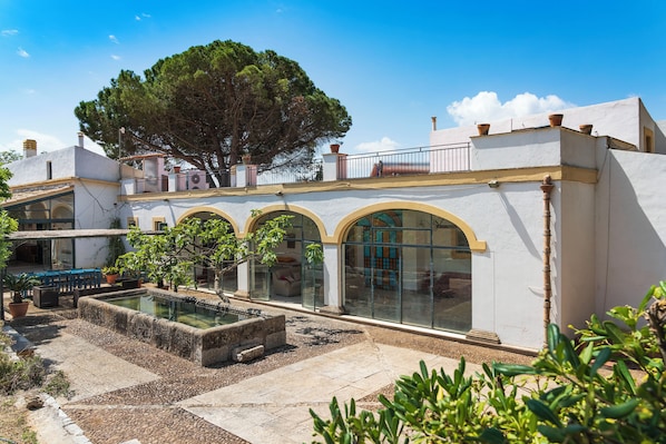 A courtyard with a pool, potted plants, and a large tree.