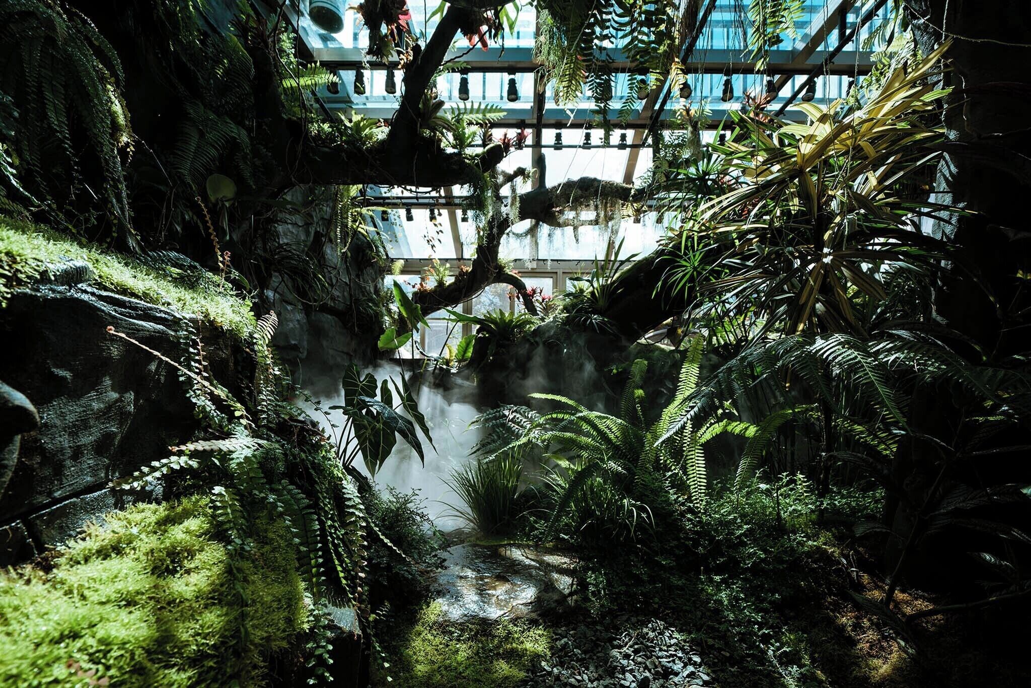 Vista desde la propiedad