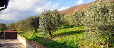 Appartement, balcon, vue sur la ville | Terrain de lâhĂ©bergement