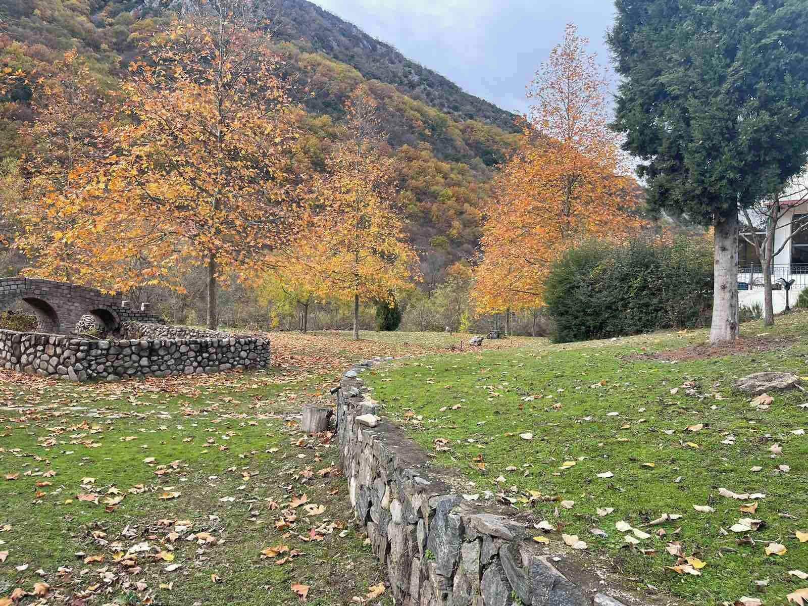 Overnatningsstedets område