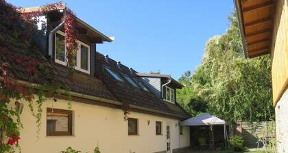 Quiet apartment ELSTER on the lovingly renovated Cleo's Hof on the Müritz