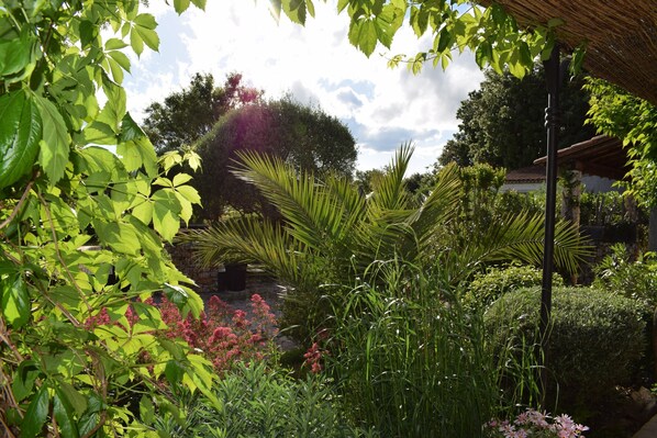 المنطقة المحيطة بالمنشأة