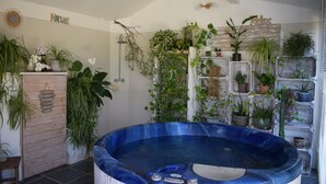 A bathroom with a hot tub, shelves with potted plants, and a wooden cabinet.