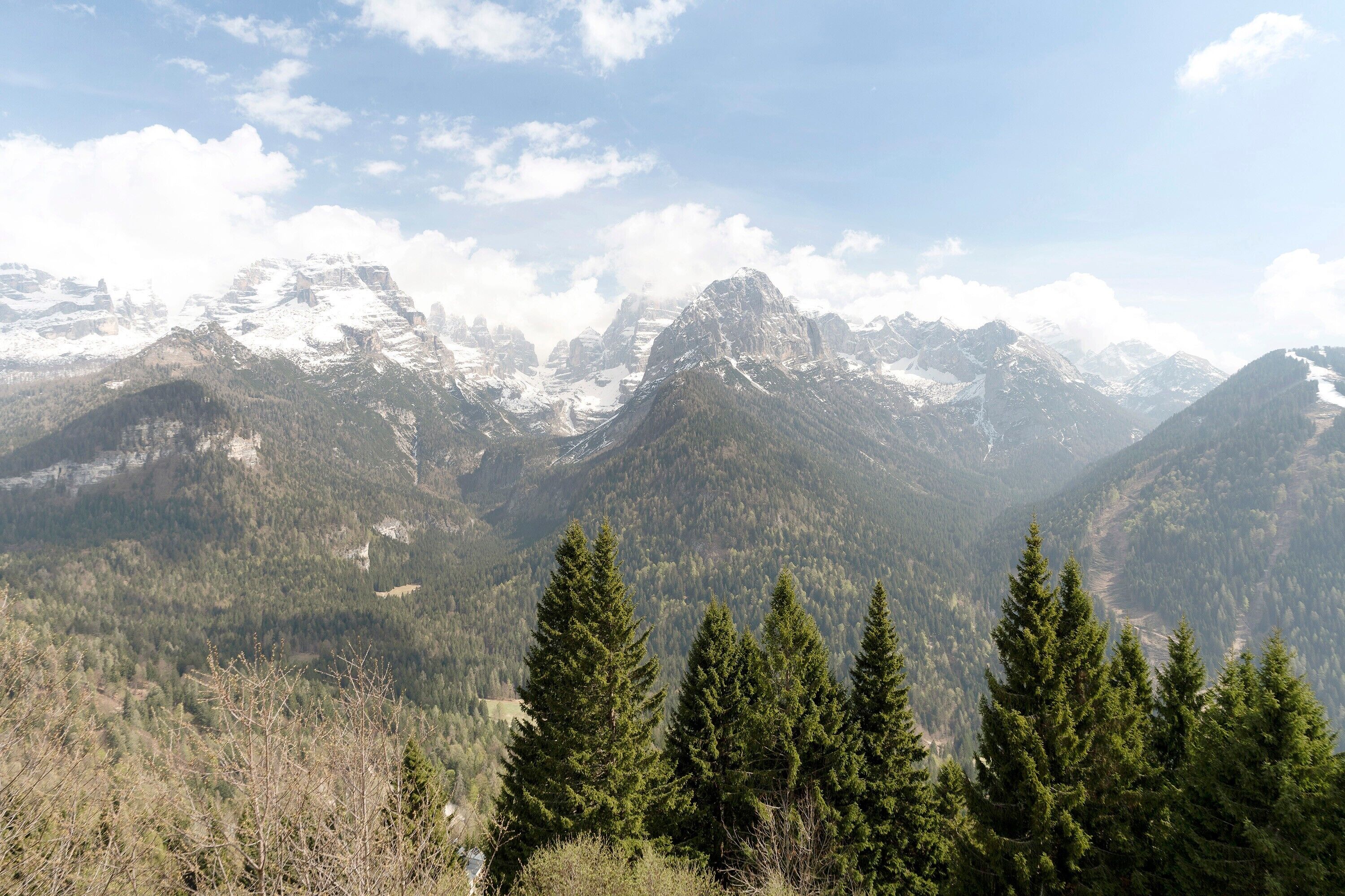 A mountainous landscape with snow-capped peaks, dense forest, and coniferous trees.