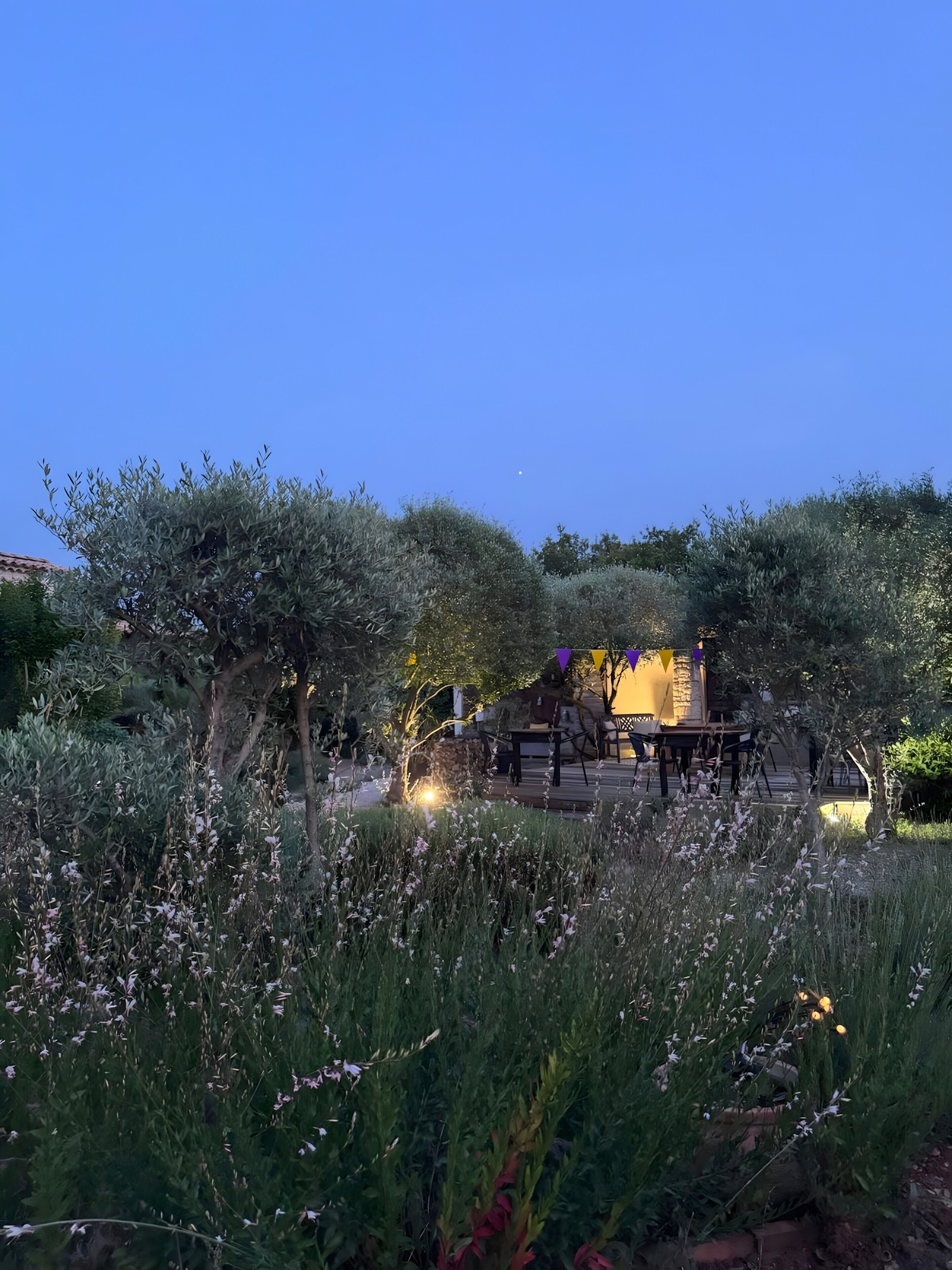 Un jardín con patio, muros de piedra y diversas plantas.
