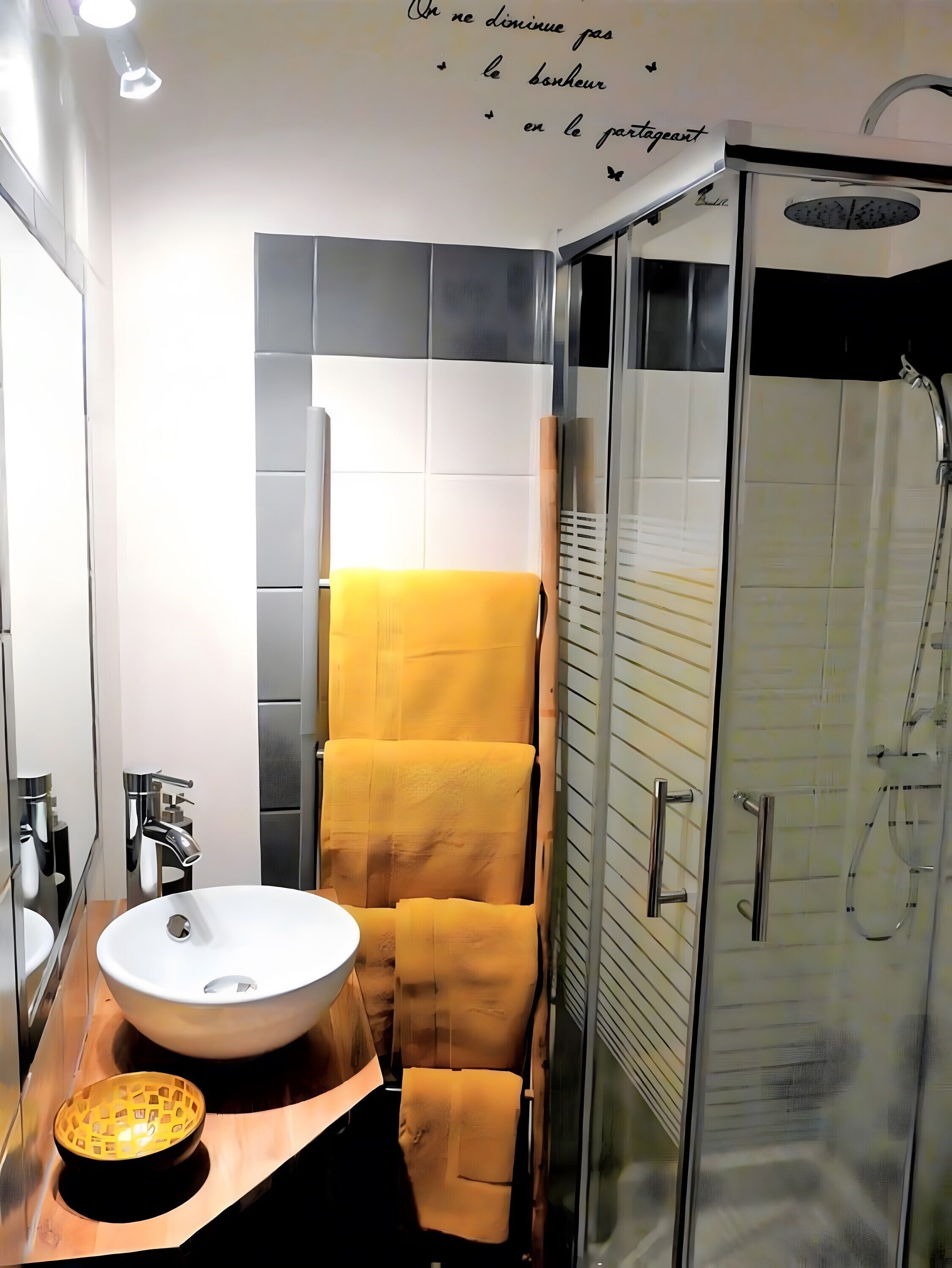 Ducha, secador de pelo, toallas