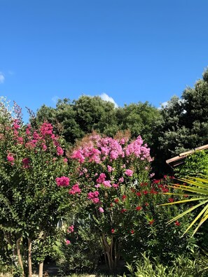 Àrea exterior de l'allotjament