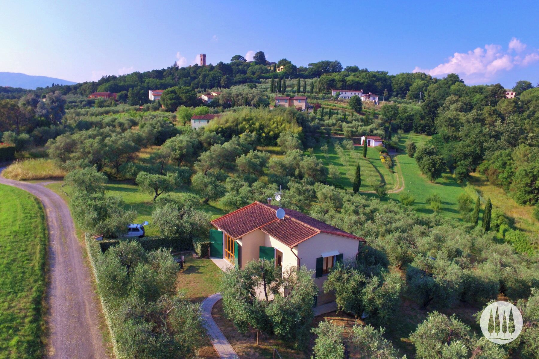 Una casa rural rodeada de olivares, con un camino sinuoso cerca.