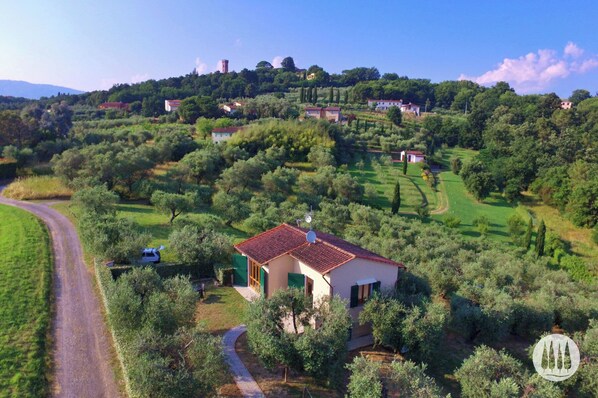 A rural house surrounded by olive groves, with a winding road nearby. - Tuscan idyll: Apartment near Montecarlo in an olive grove (Toscana)