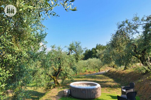 Tuscan idyll: Apartment near Montecarlo in an olive grove