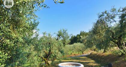 Tuscan idyll: Apartment near Montecarlo in an olive grove